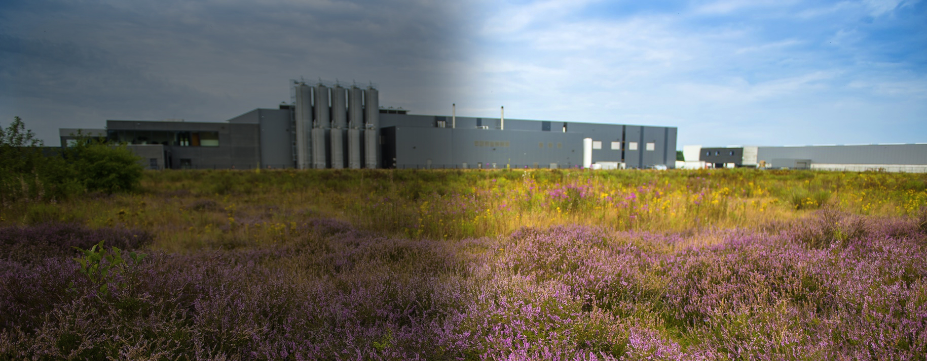 biodiversiteit op bedrijventerreinen biodiversiteit op bedrijventerreinen