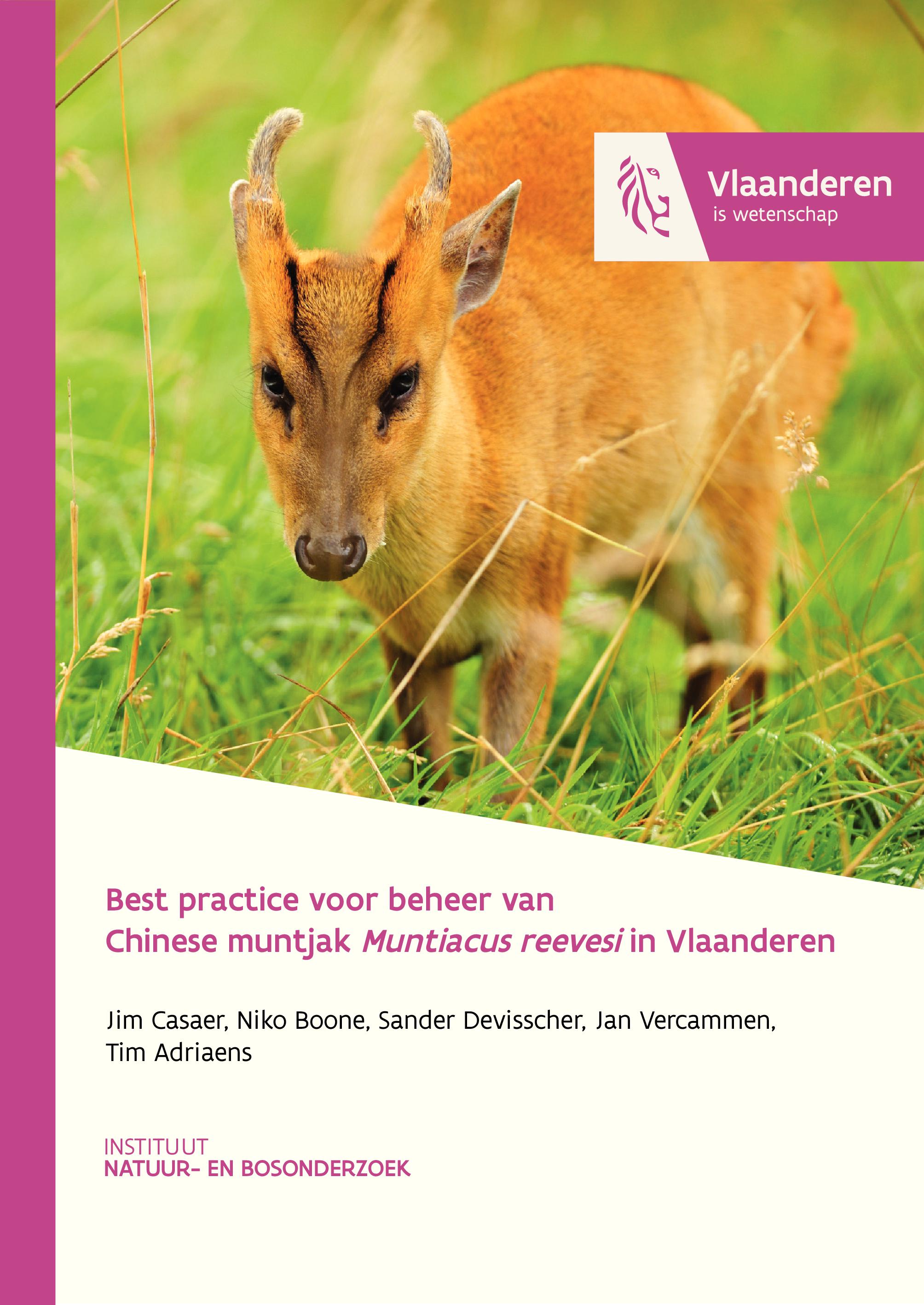 Best practice voor beheer van Chinese